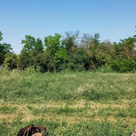 Boho منزل ريفي Trigortsi