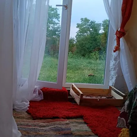 Boho Trigortsi